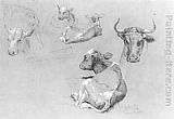 Cows Canvas Paintings - Studies of Cows and Calves